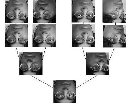 Figure 12: Binary tree of face images generated by divisive clustering.
