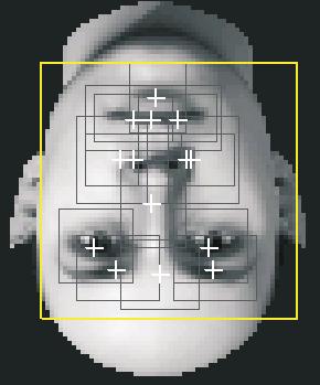 a) b) Figure 15: (a) Shows the 14 components of the face detector.
