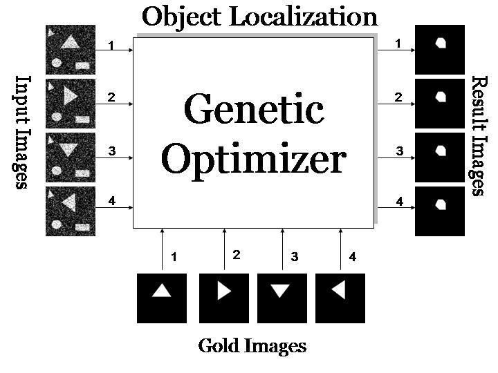 Training for triangle localization has been performed by introducing the input images and also corresponding gold images to the genetic optimizer, as shown in Fig.3.