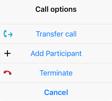 Intercom Call Options (1) While you are on a call, click on + button and it brings up the Call