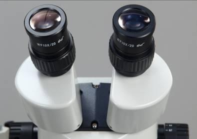 3.2 Focusing 1) Put the specimen under the microscope. 2) Set the lower edge of diopter adjustment ring to their original positions as shown in Fig. 3.