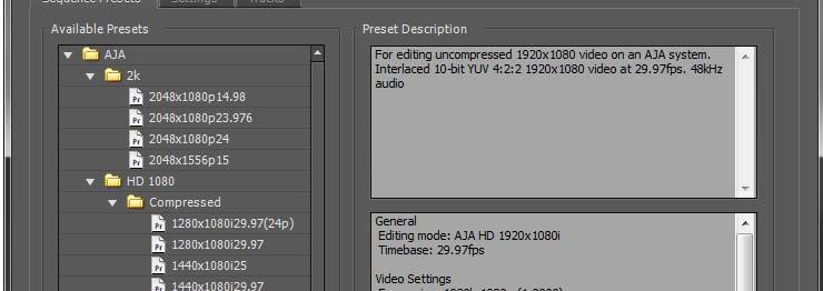 The Presets offer typical project settings.