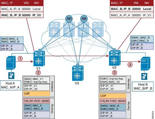 End Host and Subnet Route Distribution Configuring VXLAN BGP EVPN Forwarding between servers within a Layer-2 VNI Figure 10: Packet Forwarding (Bridge) The VNI of the source end host, Host A, and the