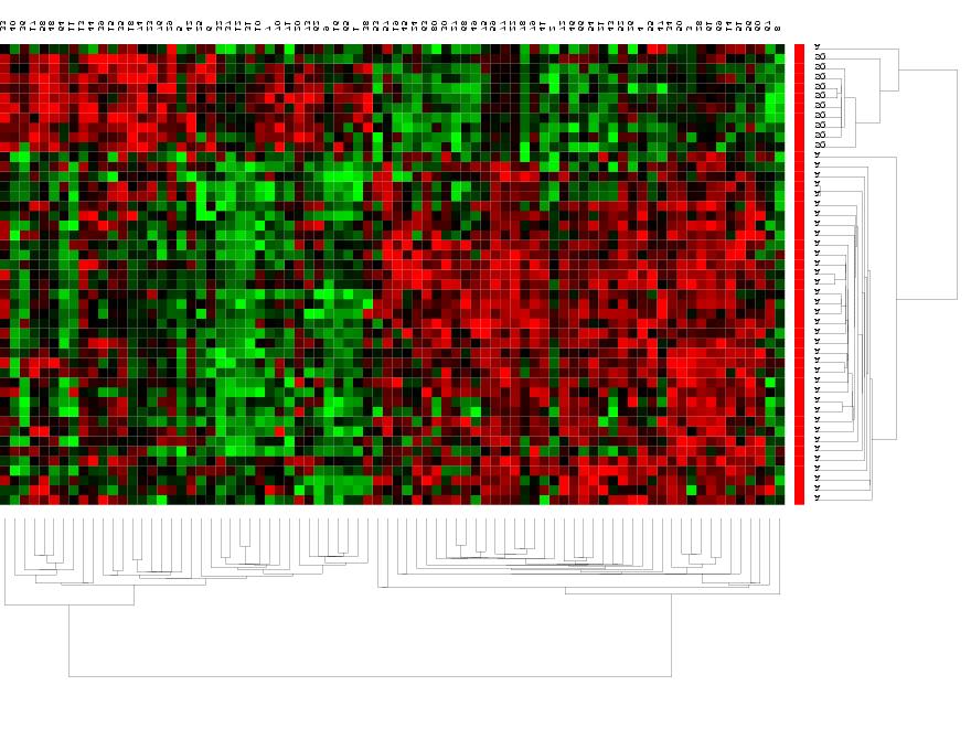 Clustering Gene expression data Data from Garber
