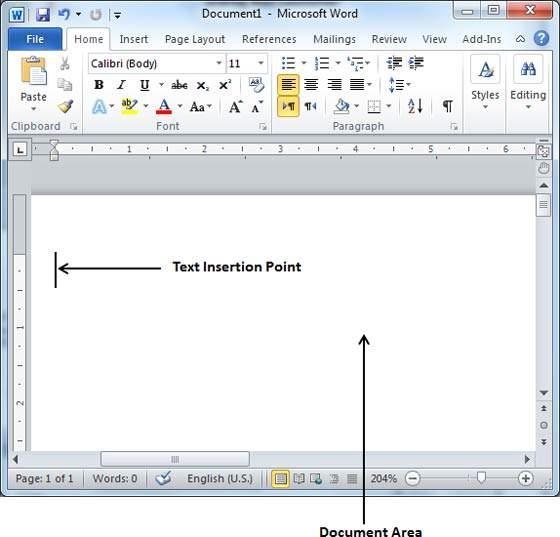 12 Document area is the area where you type your text. The flashing vertical bar is called the insertion point and it represents the location where the text will appear when you type.