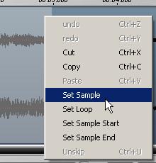 Setting Sample Start and End Points On the top right of the Editor window, the Wave editor shows the waveform of the currently selected Zone.