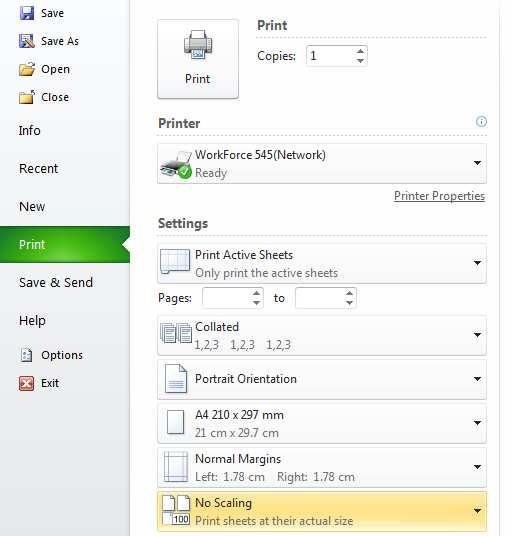 Excel Skills - Printing The Print menu allows you print and to set print options.