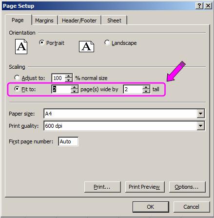 The Page Setup dialog Excel Skills - Printing The dialog lets you set the orientation of the page (Portrait or Landscape) and other properties.