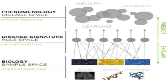 Figure 3. The human brain project. 2. DATA REALITY AND TRENDS A number of studies indicate that data science is suffering from huge inefficiencies.