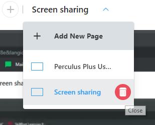 If you have more than one screen, you can select one of them. The application window tab is used to select and share an application window of a running program.