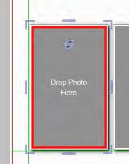 Select the images and drag and drop the image into the image box once the image box is highlighted red.