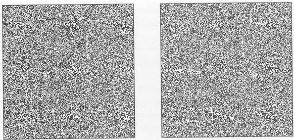 Random Dot Stereograms A Cooperatie Model (Marr and Poggio, 1976 Epipolar Constraint Epipolar Geometry Potential matches for p hae to lie