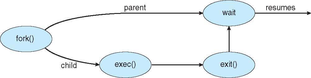 Process Creation Diagram The parent can wait on the child process by system calls pid_t wait (int * status); pid_t waitpid (pid_t pid, int * status, int options);