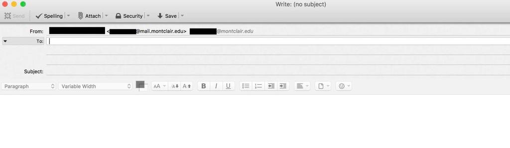 The Write window appears: Addressing the Message: 1) If you know the email address of the recipient, you can start typing it in the recipient line 2) If typing an MSU email address, type the username.