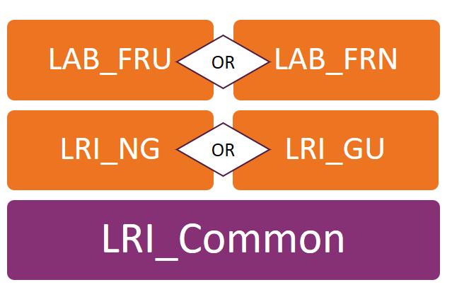 A valid order profile MUST include the LOI Common Component, either GU or NG, and either PRU or PRN: Similarly, a valid result profile MUST include the LRI Common Component, either GU or NG,
