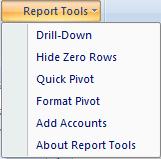 Use the feature Clean Template Pivot Fields in the Report Manager to clear out pivot table items before exporting the report for delivery.