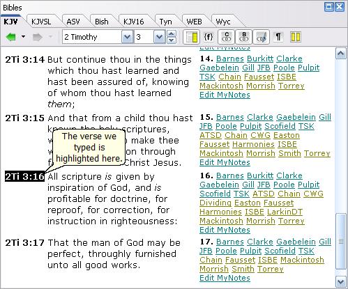 Quick-Start This is a sample image of the Bible panel from the