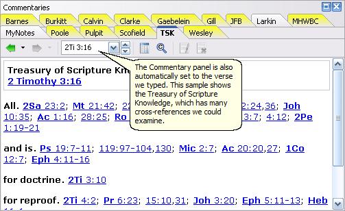 3 SwordSearcher 5 This is a sample image of the Commentary panel from the SwordSearcher main window, set to our verse. As you can see, the Go To Verse toolbar is a great way to start studying a verse.