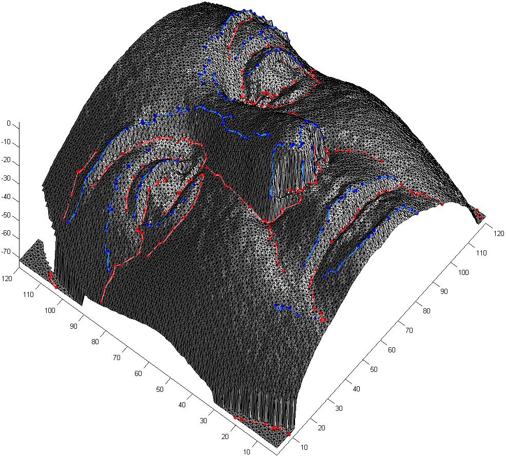 Fg. 2. Descrbng 3D shapes usng 3D drectonal corner ponts. The red ponts are 3D DCPs on rdge curves and the blue ponts are 3D DCPs on valley curves. II.