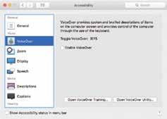 In macos this is achieved through the functions of the Accessibility section of System Preferences.