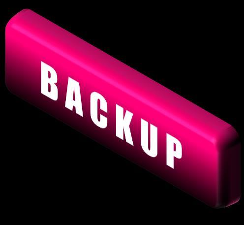 Main features of each software (1) Backup software Regular implementation of backup for the specific area