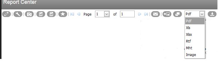 Creating a PDF/Excel/Word Copy of a Report The report toolbar may be used to create a PDF/Excel/Word (denoted as RTF), etc.