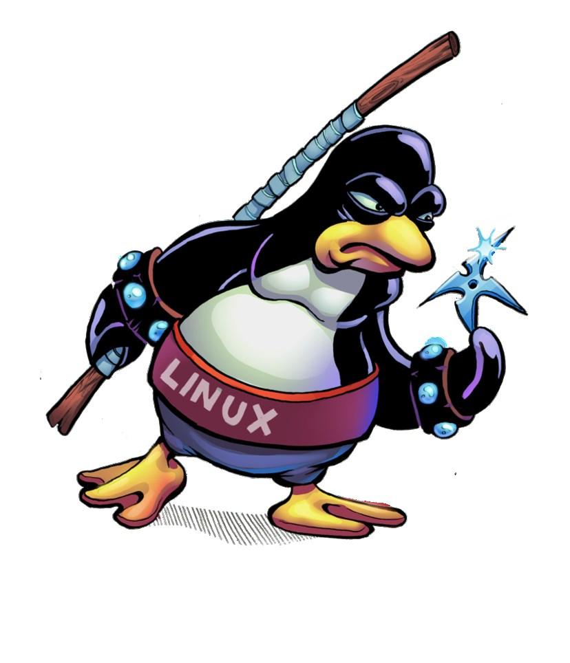 Linux Kung Fu Stephen