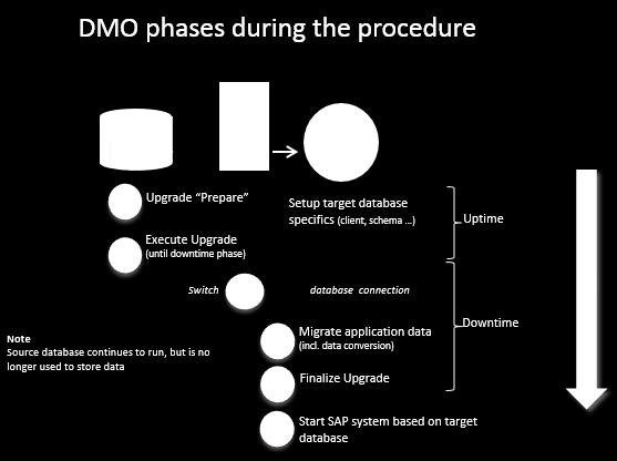 The following figure shows the different phases of the DMO during the procedure DMO at a glance For more information about the DMO, see the following blogs in the SAP Community: Database Migration