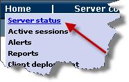 The Home area displays information about raised and pending alerts on your server, and provides the ability to generate, view and print reports about client sessions and inventory, server logs and