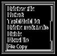 Copying a file to a different folder You can select a file and copy it to another folder, which is useful in making a backup copy.