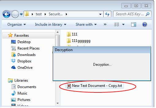 If you want to open an encrypted file, simply double-click the file and it will be decrypted and open for edit.
