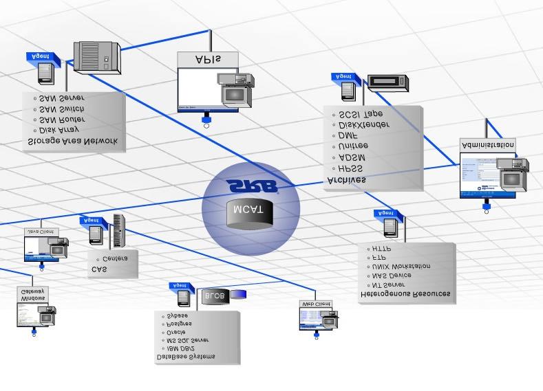 Figure 5: SRB Enterprise Implementation Data Collaboration and Management Suite SRB is an advanced data grid implementation that enables simplified information management in ad hoc federations of