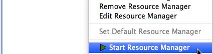 Start the Resource Manager Right-click on the new resource manager and select Start Resource Manager from the menu