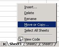Day : Date : * Duplicate a worksheet within a spreadsheet or between open spreadsheets. 1.