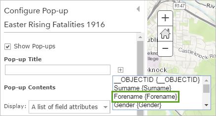 The Configure Pop-up pane opens. You'll give your pop-up a title that contains the name of the person who was killed.