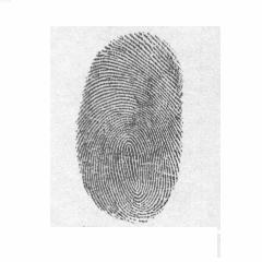Hong, "Automatic Personal Identification Using Fingerprint ", PhD. Thesis, Department of Computer Science and Engineering, Michigan State University, East Lansing, 1998. [6] A. Ross, A. K.