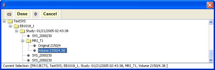 Click on the Input 1 button (Figure 5) under the heading MR files used to create Segmentation to identify the type of MRI data used (T1-weighted and T2-weighted and/or PD-weighted) for segmentation.