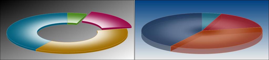 Gradient Level Whether your preference is to have a solid color on the chart objects or a gradient, which displays darker