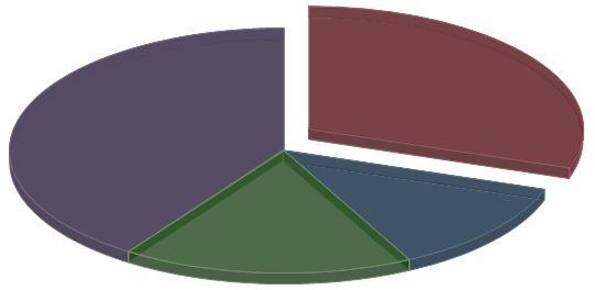 PIE & DOUGHNUT STYLE PROPERTIES All pie and doughnut chart types share the same properties and will