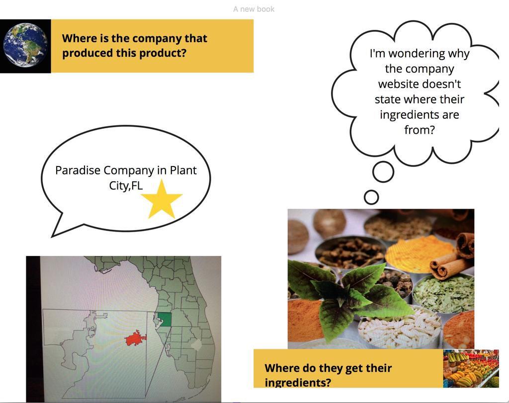 CAN YOU: Use a storyboard to help sequence your thoughts and map the action? Create an engaging dialogue? Embed appropriate descriptive language and vocabulary? Insert photos or illustrations?
