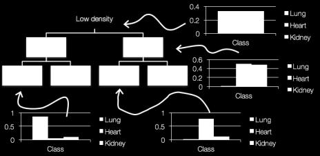 Density Density Learning in Radiotherapy ROI classes are defined by features Lung Kidney Heart Shape Purdie Contour Assessment for Quality Assurance and Data Mining Courtesy: McIntosh AAPM 2017