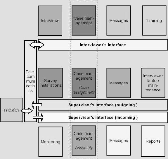 Figure 1: A schematic display of CAPI information system and tasks related to the survey undertaking.