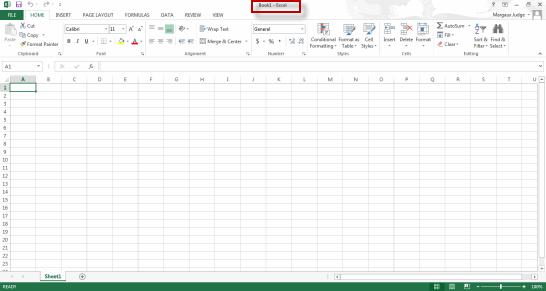 Creating a Microsoft Excel Workbook 1.