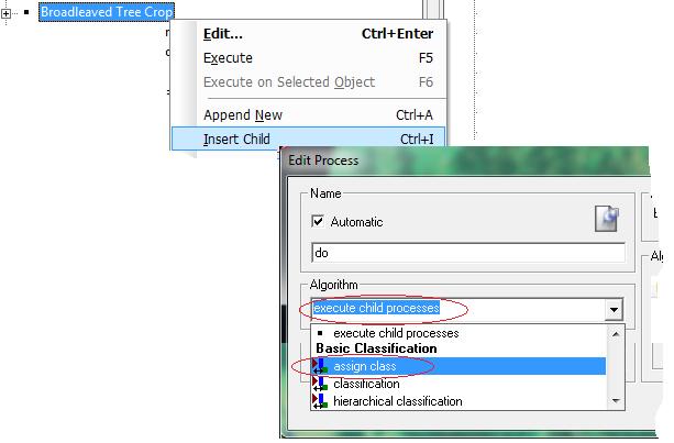 Classify the Broadleaved Tree Crop Select the inserted Classification Process and Right-Click on it.