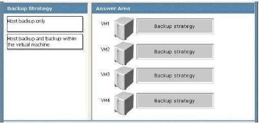 You need to recommend a backup strategy for each VM that meets the following requirements: -Backs up all data. -Minimizes the size of the backups What should you recommend?
