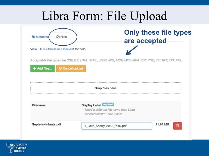 To upload your thesis: Click the Files tab at the top of the form, to add your PDF of your thesis and any other supplemental files. You are required to upload at least one PDF document.