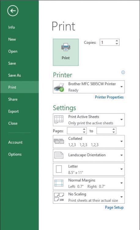 Formatting the Page Layout (continued) Customizing Print Options (continued) You can change the print