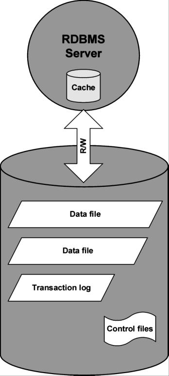 Relational database Data files are physical files that contain all of a database s data. They change randomly and can be very large. They are internally divided into pages.