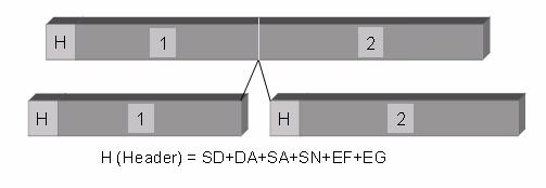 Basically, it consists of a start delimiter (SD), which labels the data frame which is conveyed in data channel either for packets or fragments.