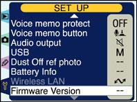 2 Press the MENU button and select Firmware Version in the setup menu.